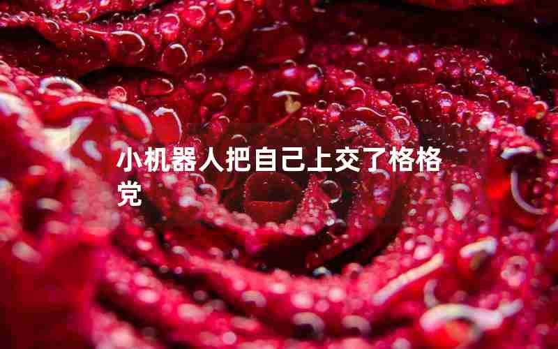 小机器人把自己上交了格格党 小机器人把自己上交了格格党