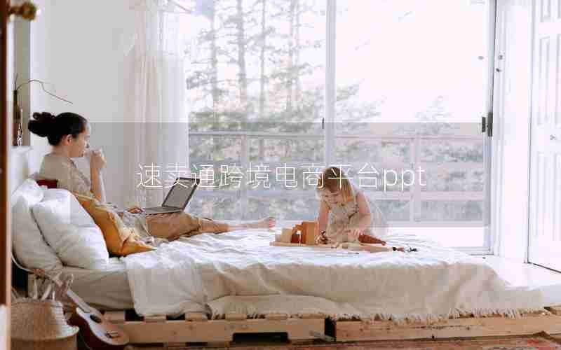 速卖通跨境电商平台ppt 速卖通跨境电商平台ppt
