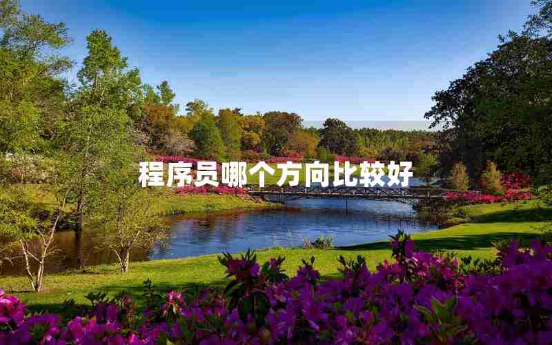 程序员哪个方向比较好