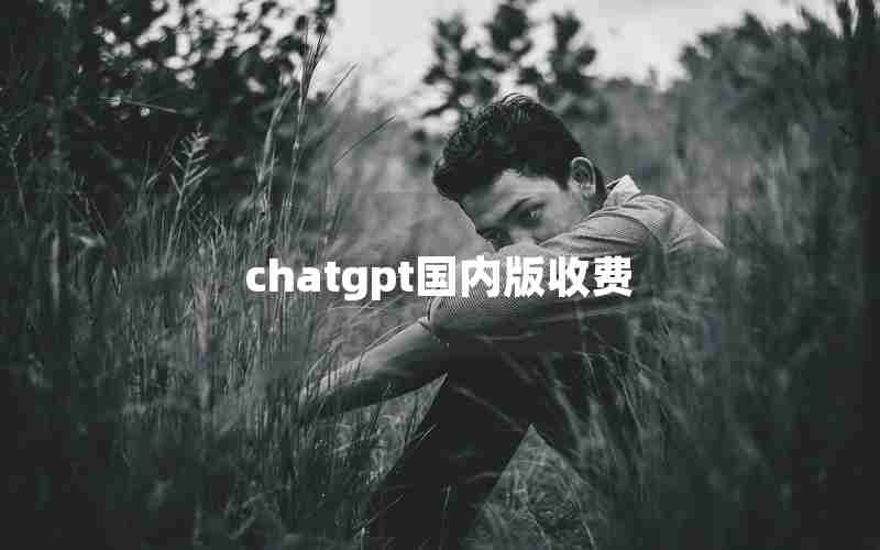 chatgpt国内版收费 chatgpt国内版收费