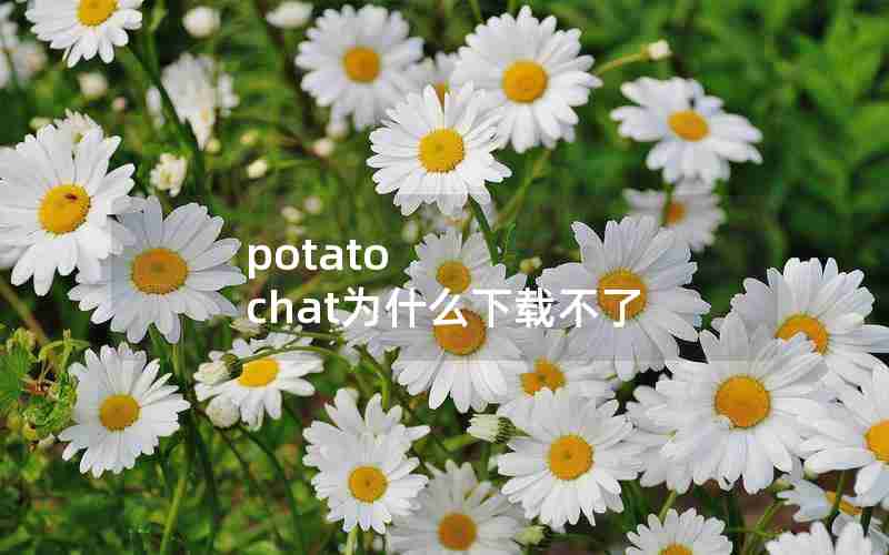 potato chat为什么下载不了