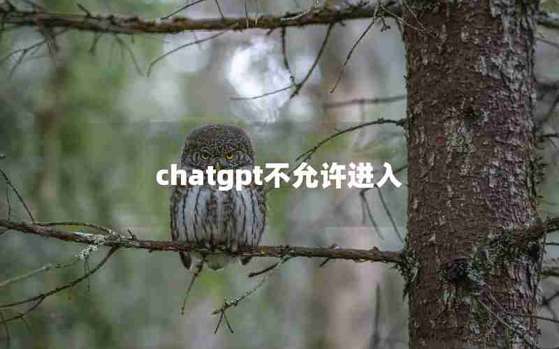 chatgpt不允许进入