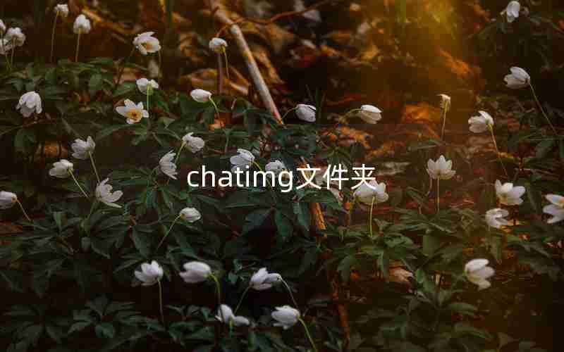 chatimg文件夹 chatimg文件夹