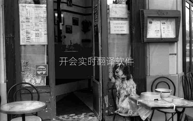 开会实时翻译软件