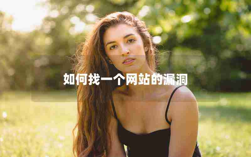 如何找一个网站的漏洞 如何找一个网站的漏洞