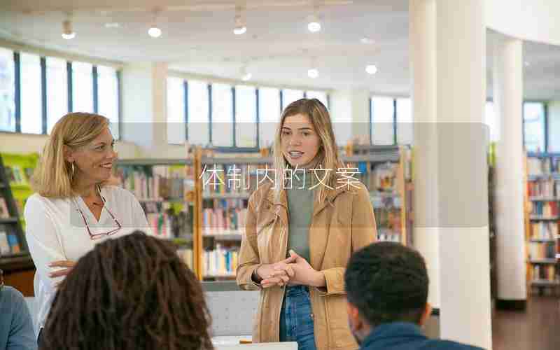 体制内的文案 体制内的文案