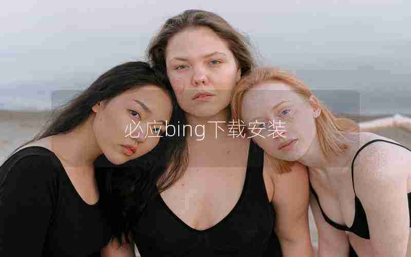 必应bing下载安装