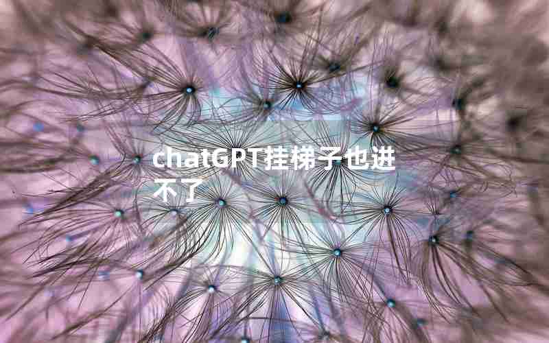 chatGPT挂梯子也进不了
