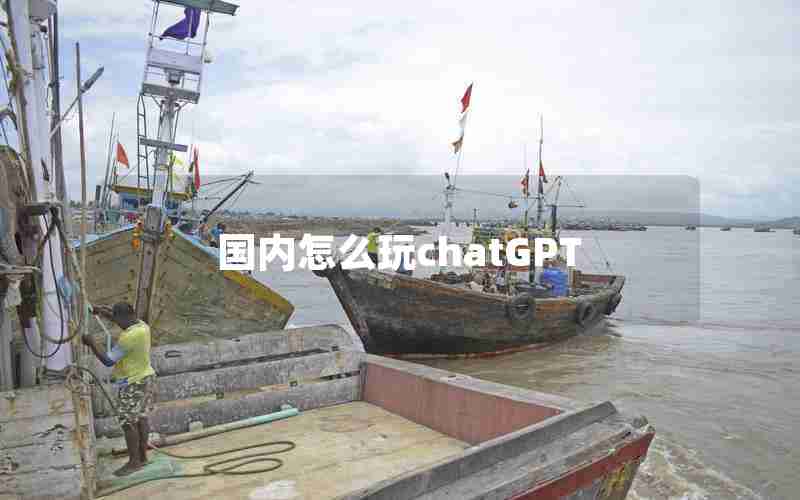 国内怎么玩chatGPT 国内怎么玩chatGPT