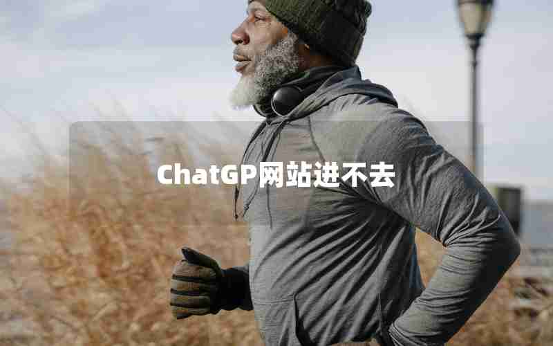 ChatGP网站进不去