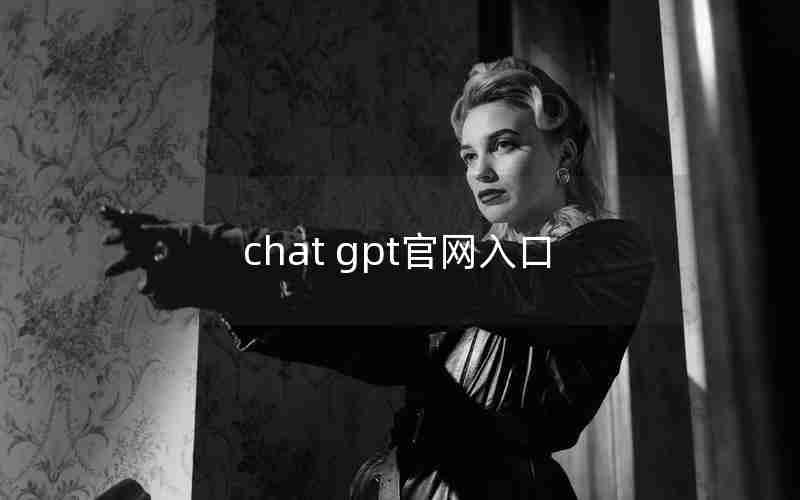 chat gpt官网入口