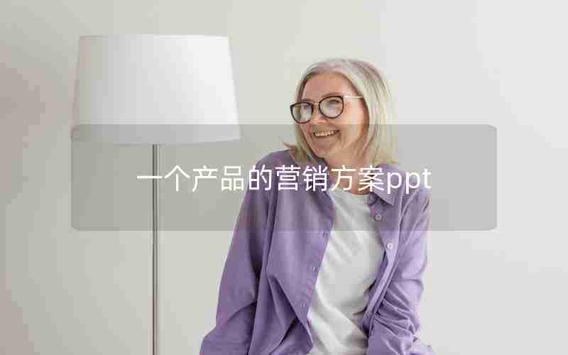 一个产品的营销方案ppt 一个产品的营销方案ppt