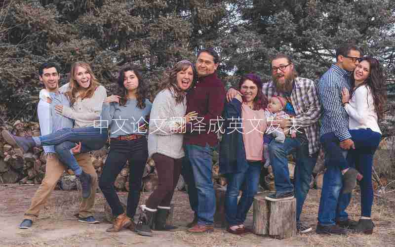 中文论文翻译成英文发表 中文论文翻译成英文发表