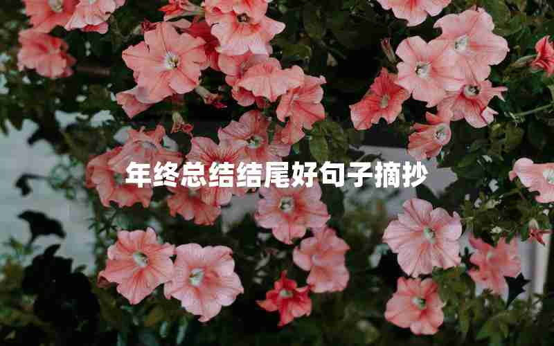 年终总结结尾好句子摘抄 年终总结结尾好句子摘抄