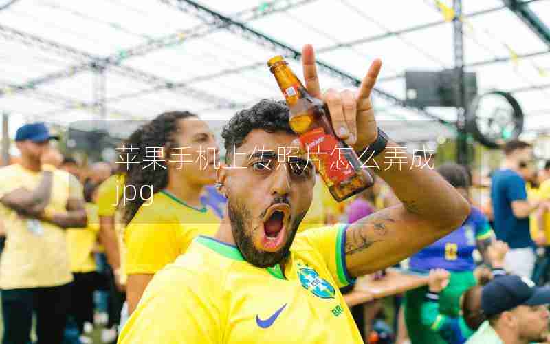 苹果手机上传照片怎么弄成jpg 苹果手机上传照片怎么弄成jpg