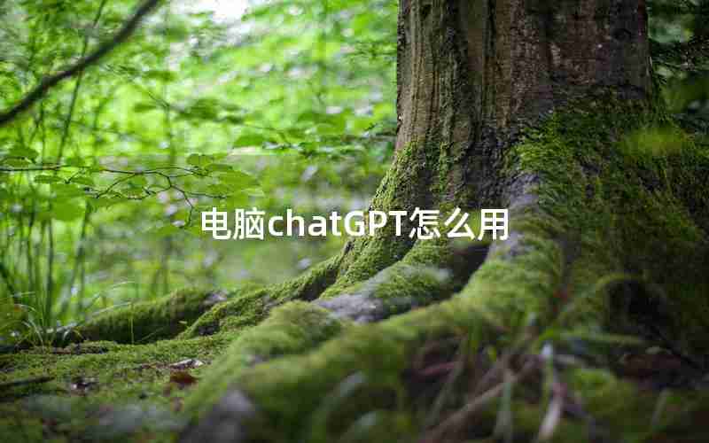电脑chatGPT怎么用