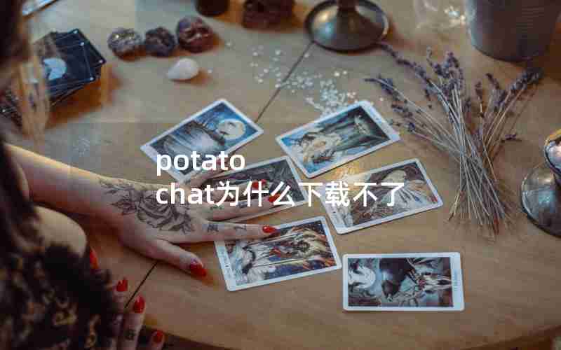 potato chat为什么下载不了