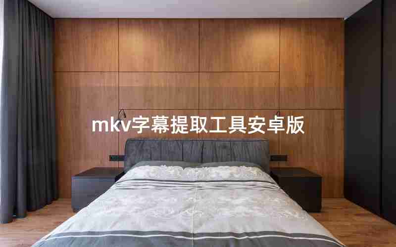 mkv字幕提取工具安卓版