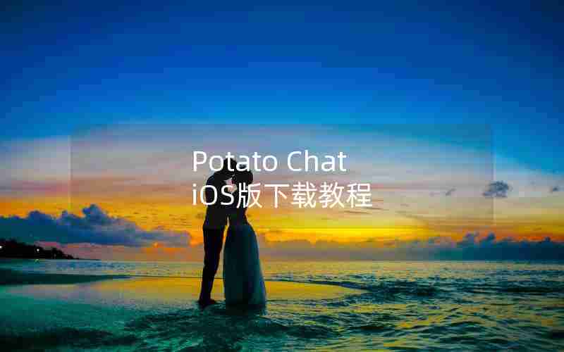 Potato Chat iOS版下载教程