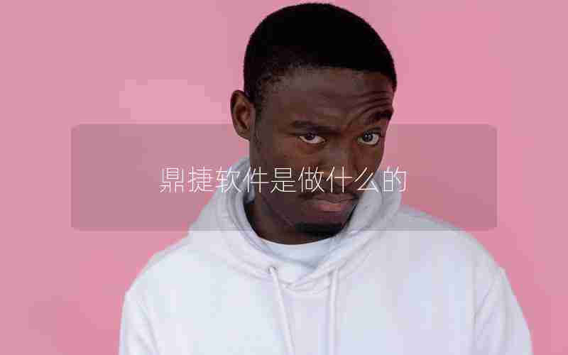 鼎捷软件是做什么的