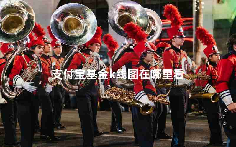 支付宝基金k线图在哪里看