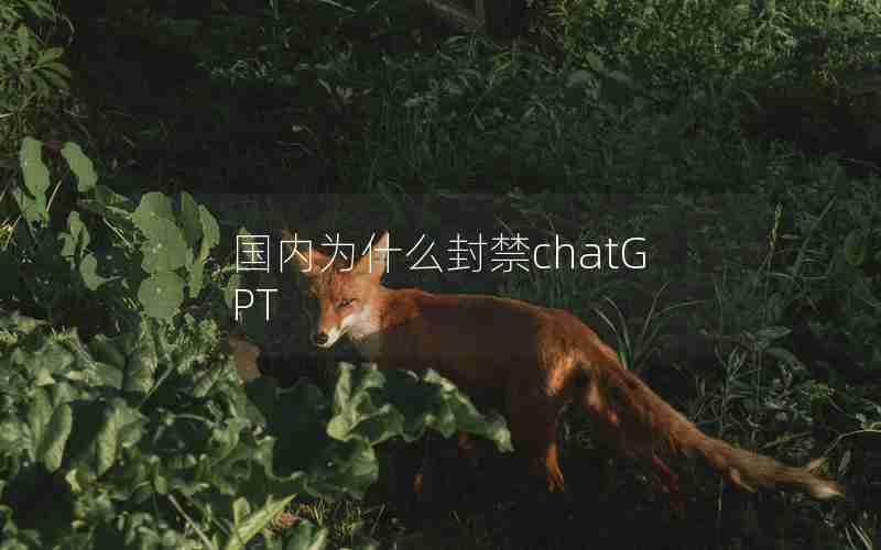 国内为什么封禁chatGPT 国内为什么封禁chatGPT