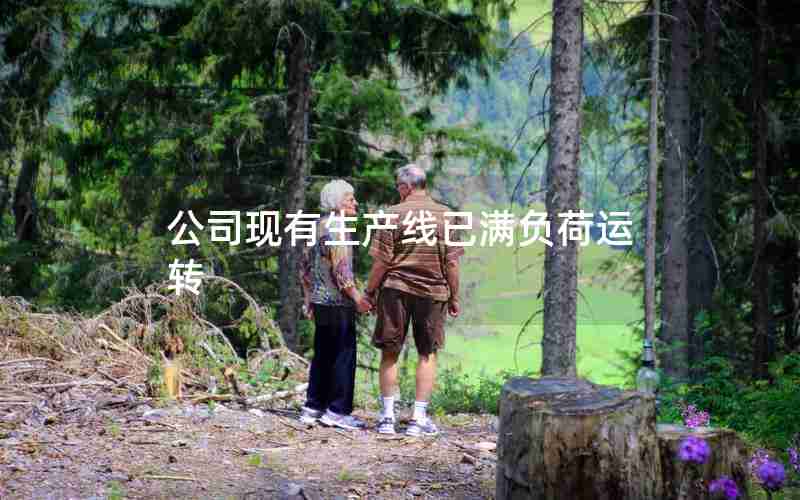 公司现有生产线已满负荷运转 公司现有生产线已满负荷运转