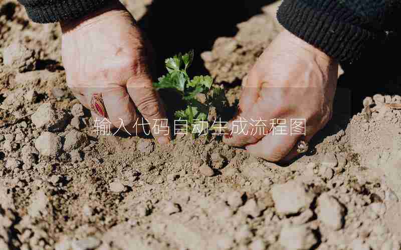 输入代码自动生成流程图 输入代码自动生成流程图