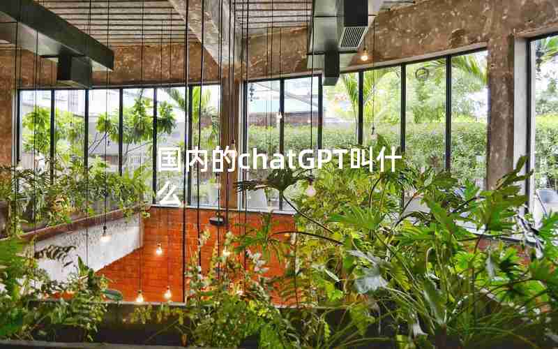 国内的chatGPT叫什么 国内的chatGPT叫什么