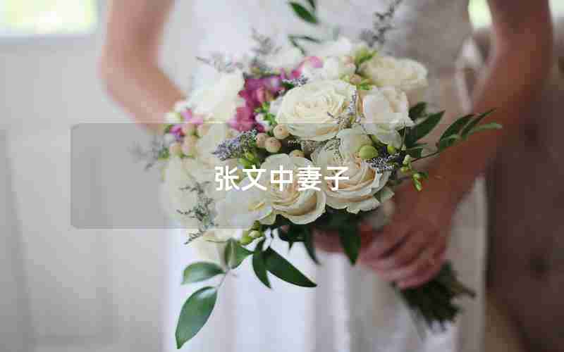张文中妻子 张文中妻子