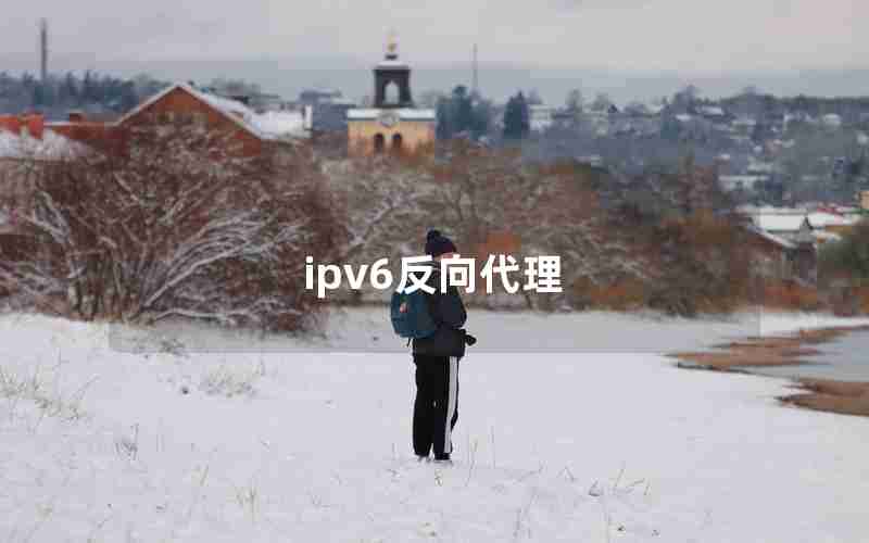 ipv6反向代理