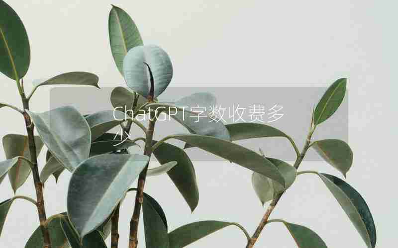 ChatGPT字数收费多少