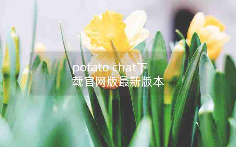 potato chat下载官网版最新版本