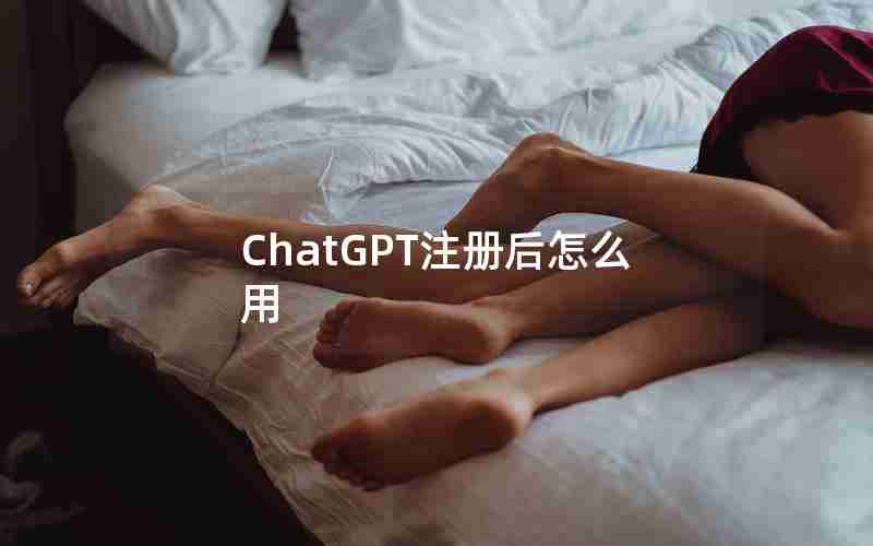 ChatGPT注册后怎么用