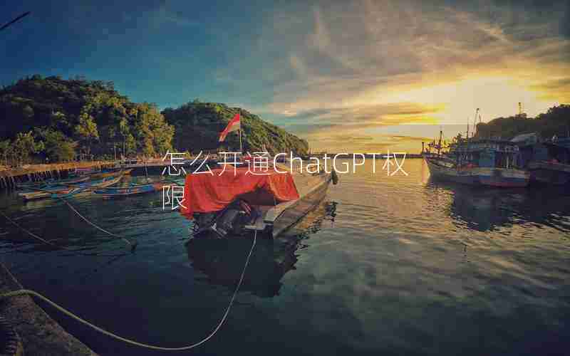 怎么开通ChatGPT权限 怎么开通ChatGPT权限