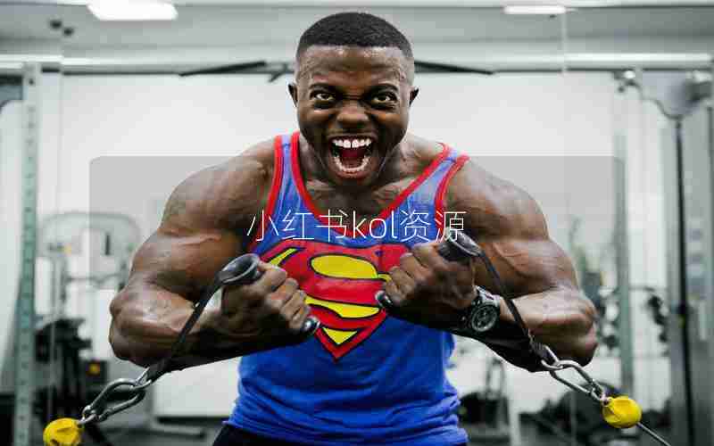 小红书kol资源 小红书kol资源