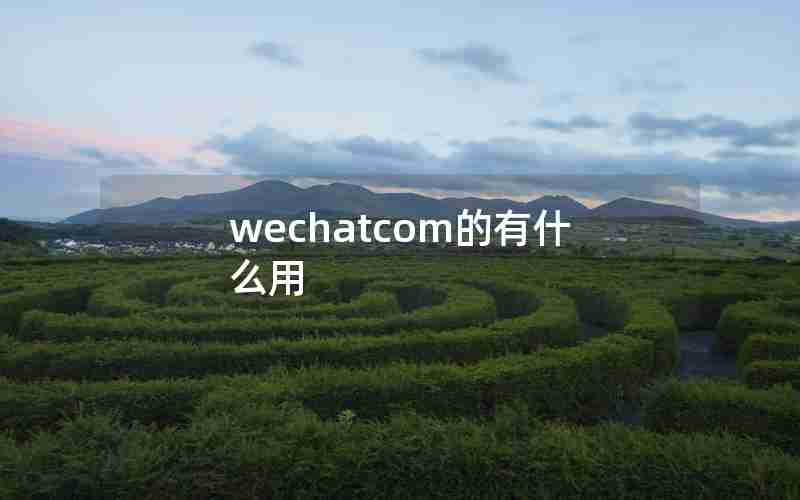 wechatcom的有什么用 wechatcom的有什么用