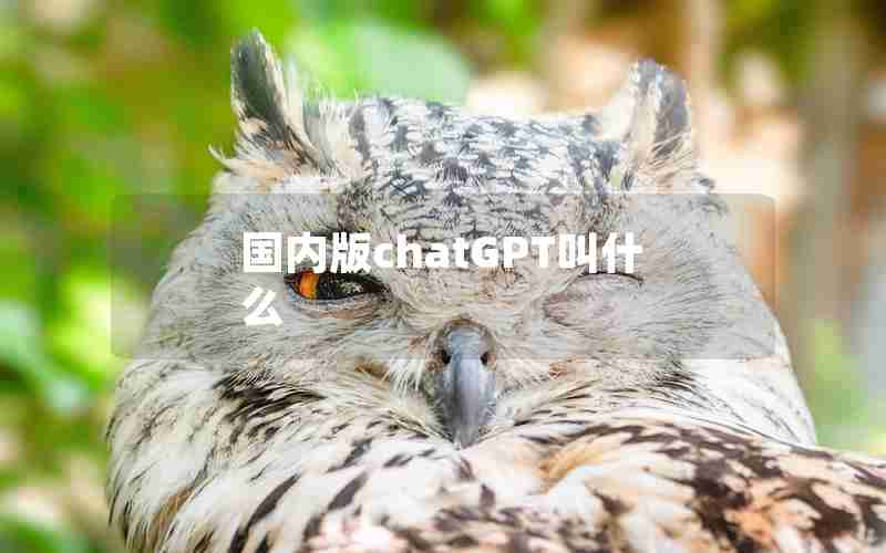 国内版chatGPT叫什么