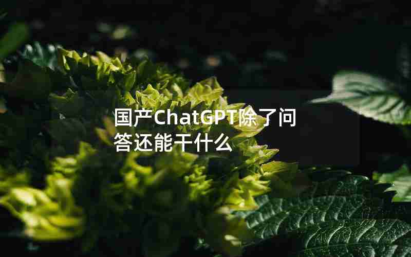 国产ChatGPT除了问答还能干什么 国产ChatGPT除了问答还能干什么