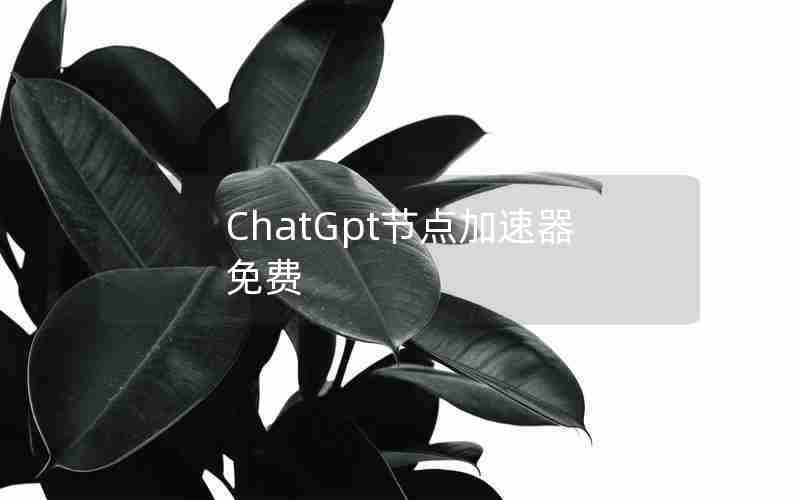 ChatGpt节点加速器免费
