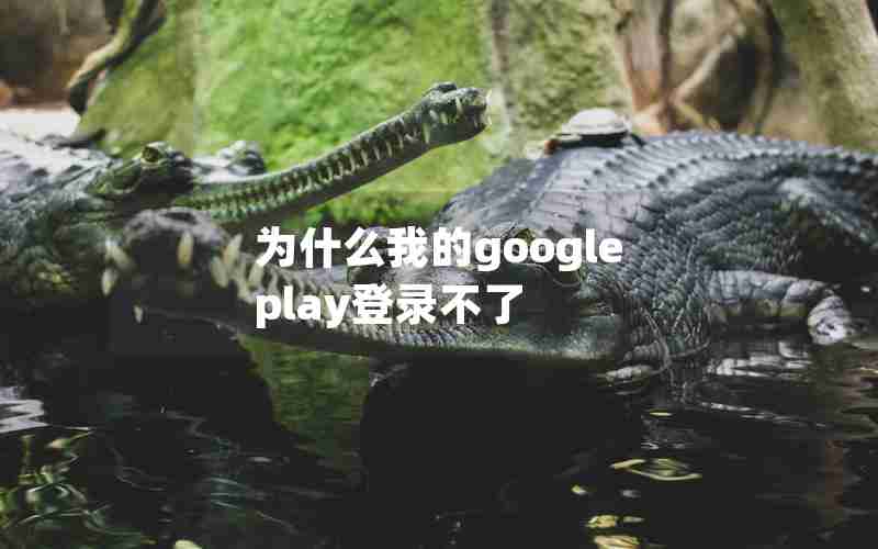为什么我的google play登录不了 为什么我的google play登录不了