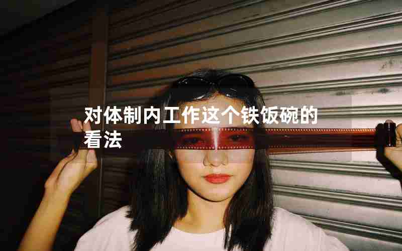 对体制内工作这个铁饭碗的看法 对体制内工作这个铁饭碗的看法