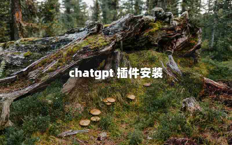 chatgpt 插件安装