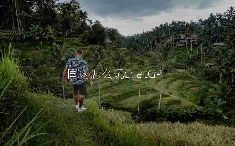 国内怎么玩chatGPT 国内怎么玩chatGPT