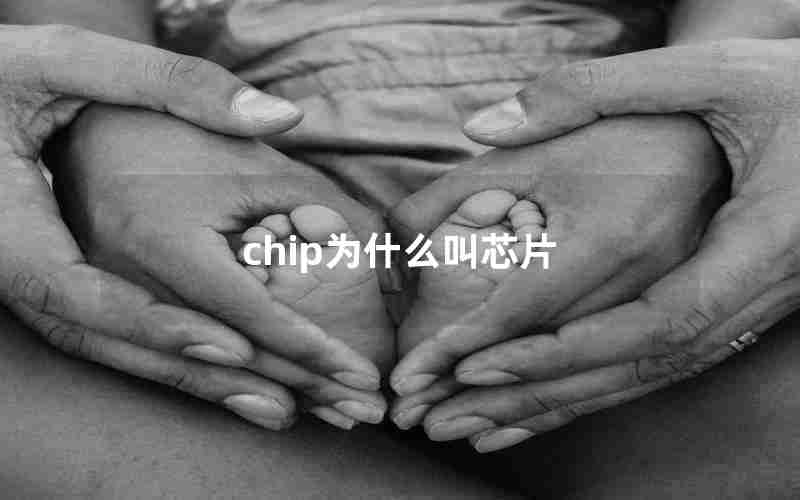 chip为什么叫芯片