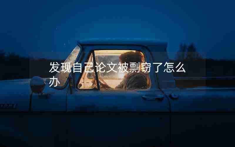 发现自己论文被剽窃了怎么办