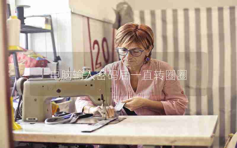 电脑输入密码后一直转圈圈