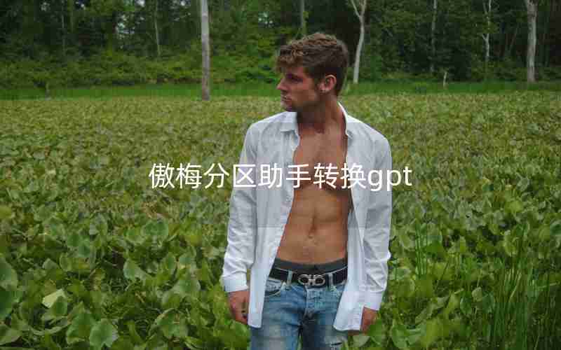 傲梅分区助手转换gpt 傲梅分区助手转换gpt