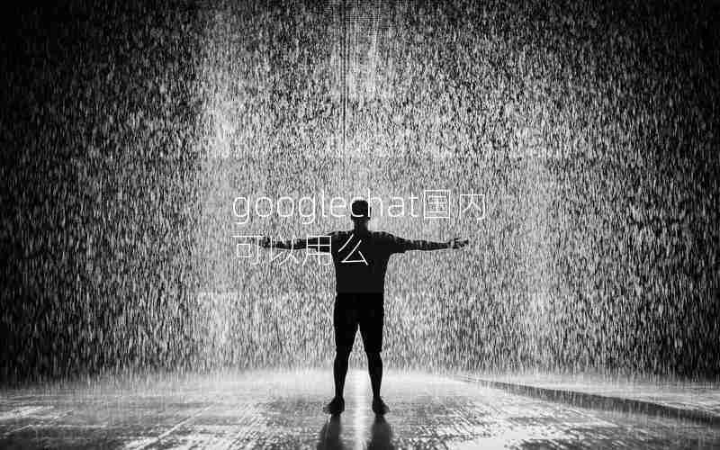 googlechat国内可以用么