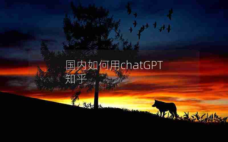 国内如何用chatGPT知乎
